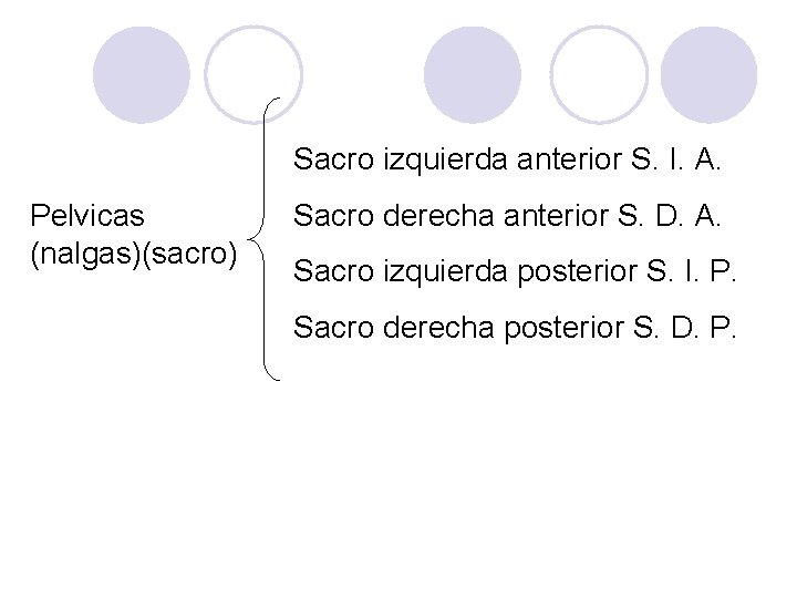 Sacro izquierda anterior S. I. A. Pelvicas (nalgas)(sacro) Sacro derecha anterior S. D. A.