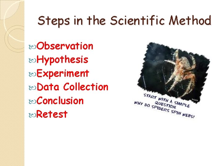 Steps in the Scientific Method Observation Hypothesis Experiment Data Collection Conclusion Retest 