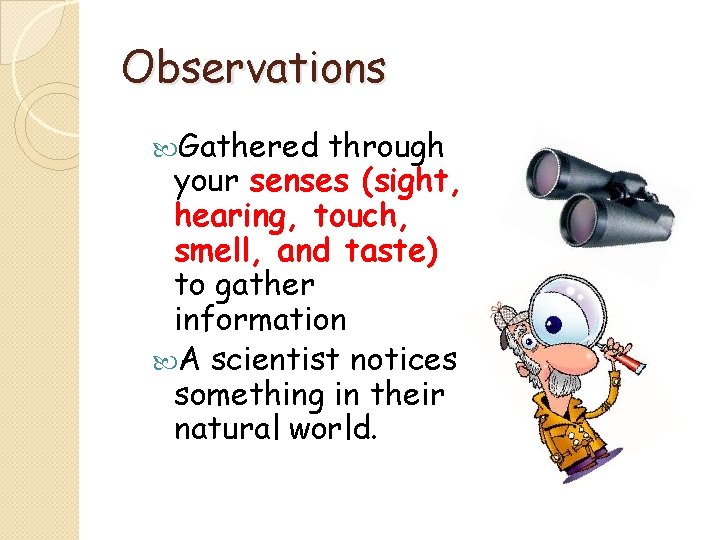 Observations Gathered through your senses (sight, hearing, touch, smell, and taste) to gather information