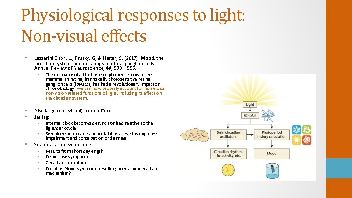 Physiological responses to light: Non-visual effects • Lazzerini Ospri, L. , Prusky, G, &