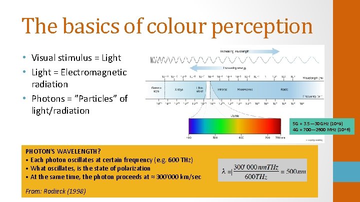 The basics of colour perception • Visual stimulus = Light • Light = Electromagnetic