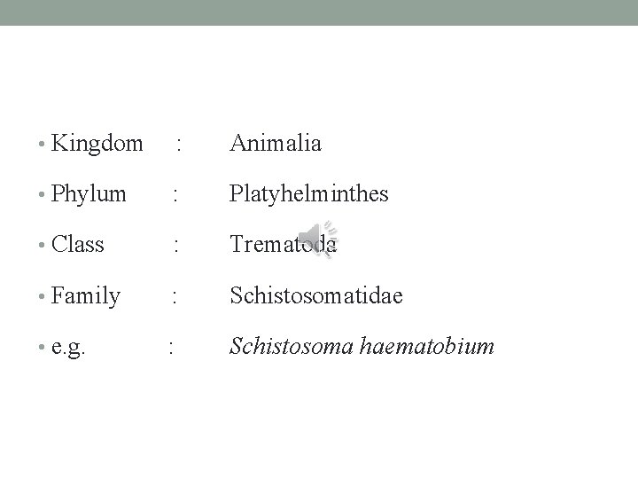  • Kingdom : Animalia • Phylum : Platyhelminthes • Class : Trematoda •