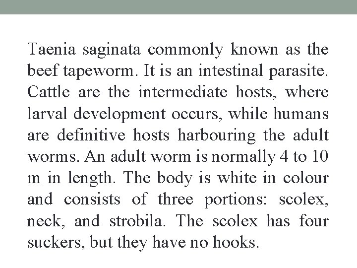 Taenia saginata commonly known as the beef tapeworm. It is an intestinal parasite. Cattle