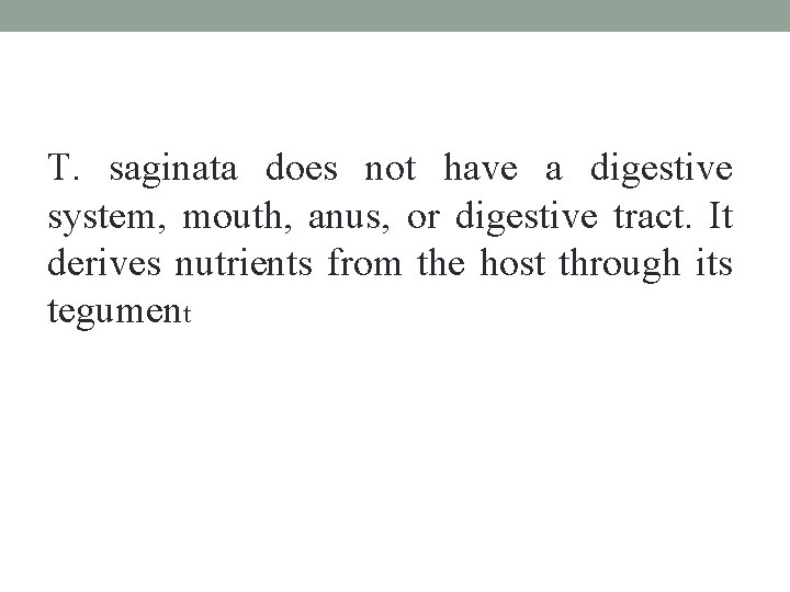 T. saginata does not have a digestive system, mouth, anus, or digestive tract. It