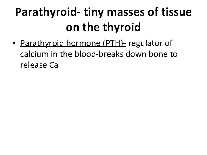 Parathyroid- tiny masses of tissue on the thyroid • Parathyroid hormone (PTH)- regulator of