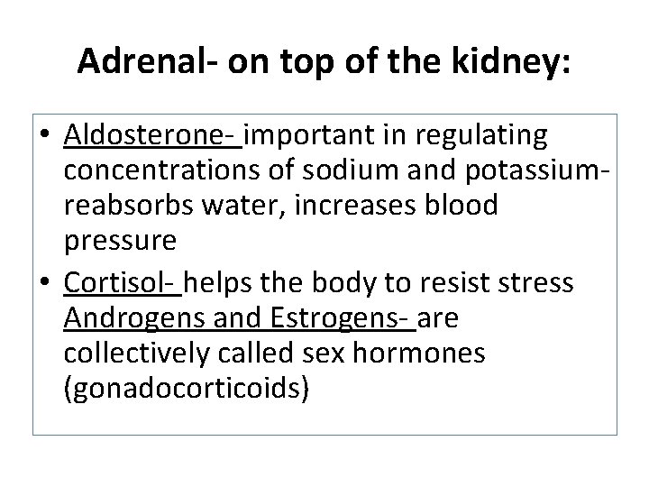 Adrenal- on top of the kidney: • Aldosterone- important in regulating concentrations of sodium