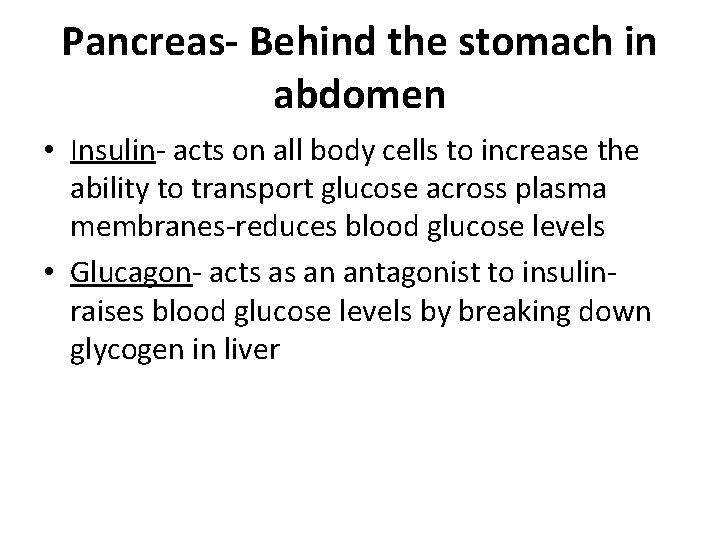 Pancreas- Behind the stomach in abdomen • Insulin- acts on all body cells to