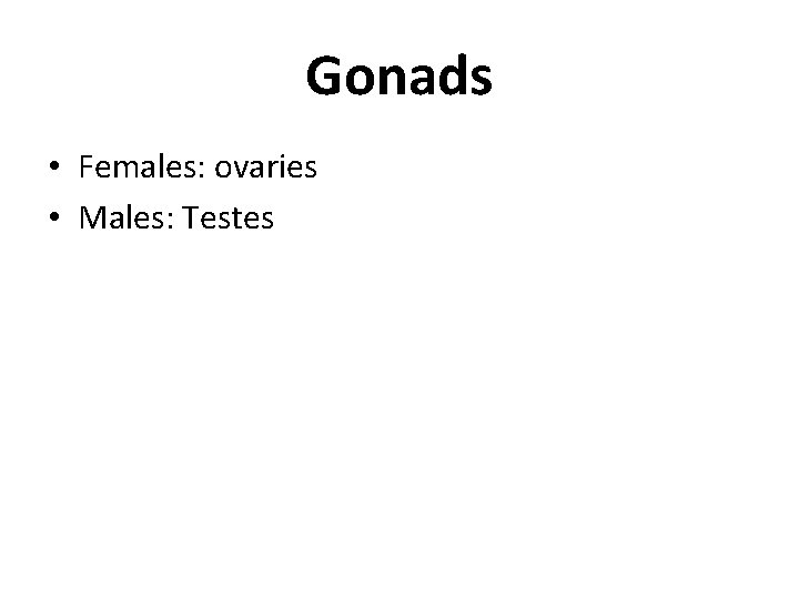 Gonads • Females: ovaries • Males: Testes 