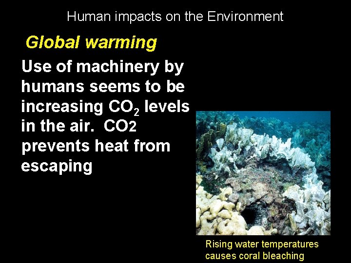 Human impacts on the Environment Global warming Use of machinery by humans seems to
