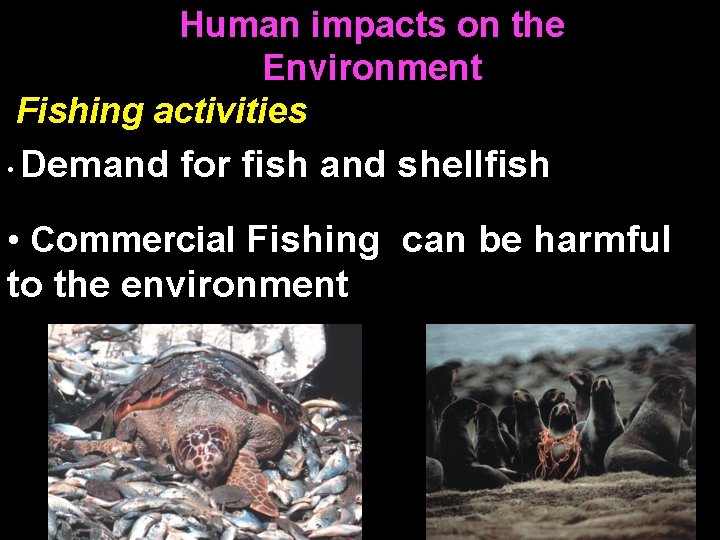 Human impacts on the Environment Fishing activities • Demand for fish and shellfish •