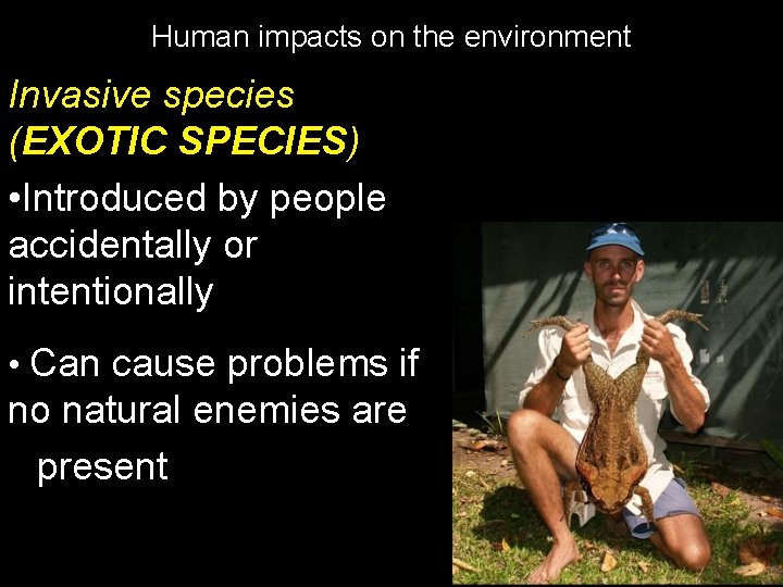 Human impacts on the environment Invasive species (EXOTIC SPECIES) • Introduced by people accidentally