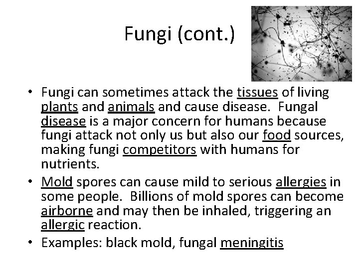 Fungi (cont. ) • Fungi can sometimes attack the tissues of living plants and