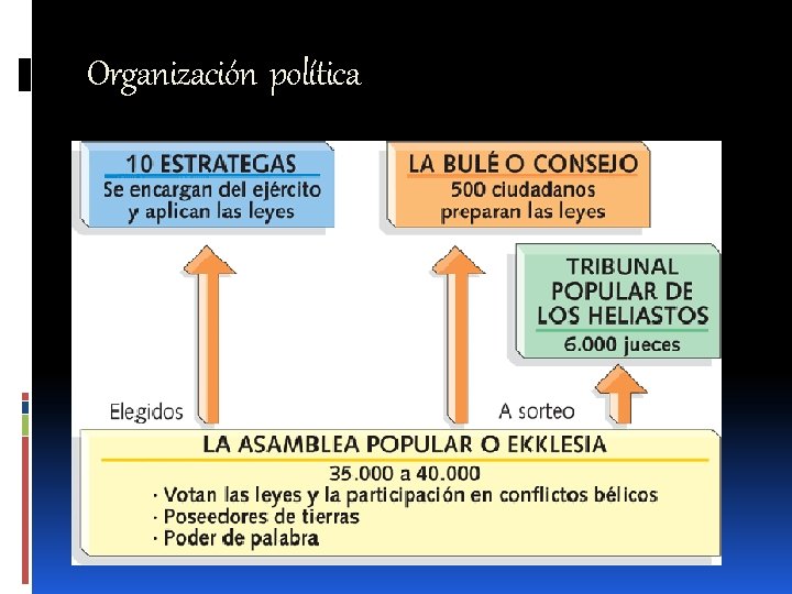 Organización política 