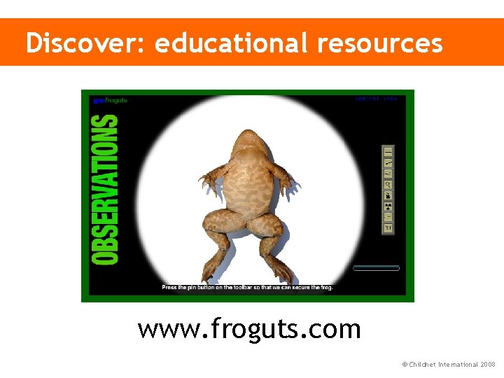 Discover: educational resources www. froguts. com © Childnet International 2008 