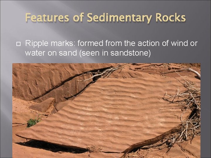 Features of Sedimentary Rocks Ripple marks: formed from the action of wind or water