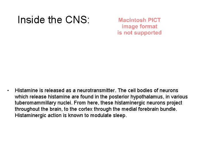 Inside the CNS: • Histamine is released as a neurotransmitter. The cell bodies of