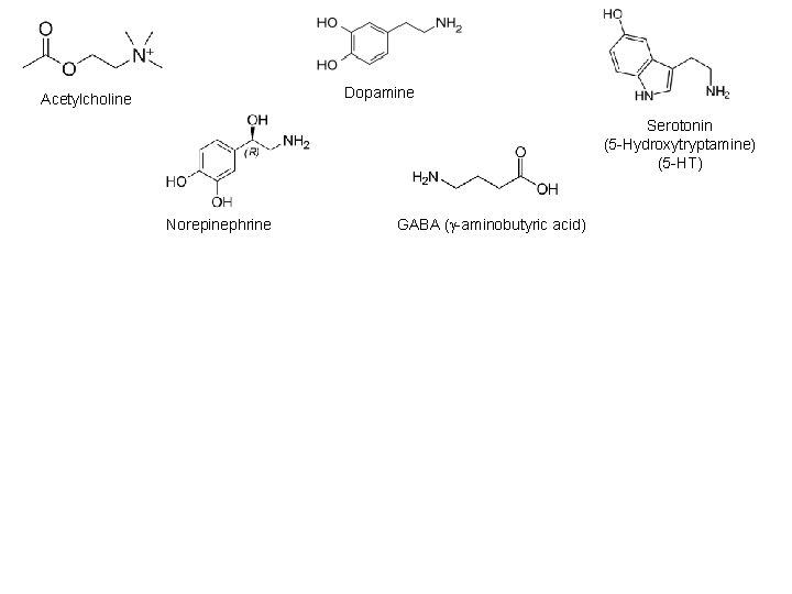 Dopamine Acetylcholine Serotonin (5 -Hydroxytryptamine) (5 -HT) Norepinephrine GABA ( -aminobutyric acid) 