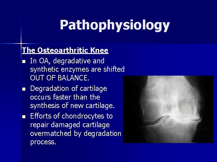 Pathophysiology The Osteoarthritic Knee n In OA, degradative and synthetic enzymes are shifted OUT