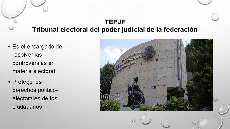 TEPJF Tribunal electoral del poder judicial de la federación • Es el encargado de