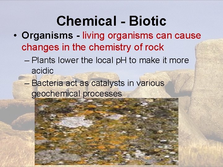 Chemical - Biotic • Organisms - living organisms can cause changes in the chemistry Chemical - Biotic • Organisms - living organisms can cause changes in the chemistry
