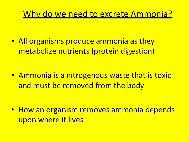 Why do we need to excrete Ammonia? • All organisms produce ammonia as they