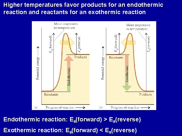 Higher temperatures favor products for an endothermic reaction and reactants for an exothermic reaction