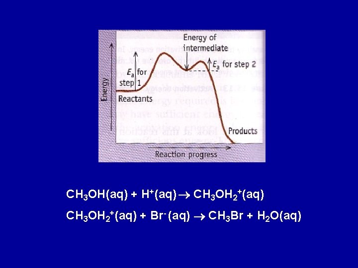 CH 3 OH(aq) + H+(aq) CH 3 OH 2+(aq) + Br- (aq) CH 3