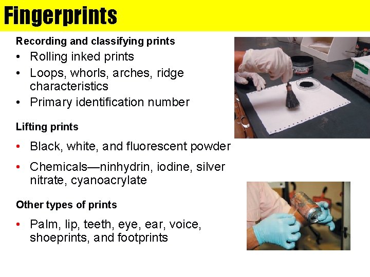 Fingerprints Recording and classifying prints • Rolling inked prints • Loops, whorls, arches, ridge