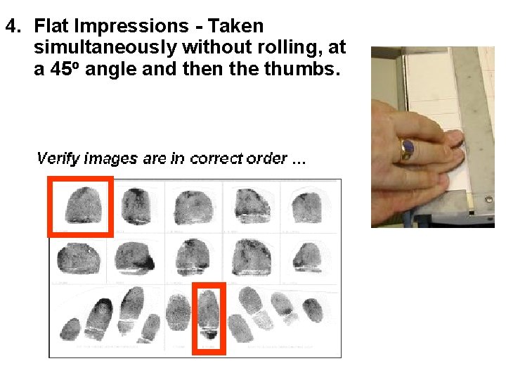 4. Flat Impressions - Taken simultaneously without rolling, at a 45 o angle and