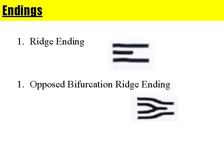 Endings 1. Ridge Ending 1. Opposed Bifurcation Ridge Ending 