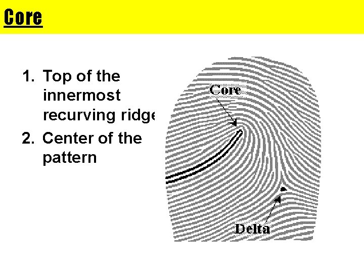 Core 1. Top of the innermost recurving ridge. 2. Center of the pattern 