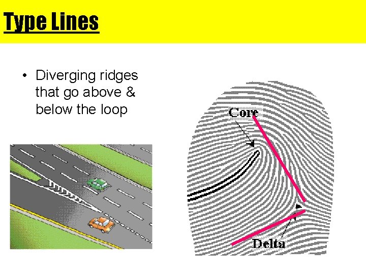 Type Lines • Diverging ridges that go above & below the loop 