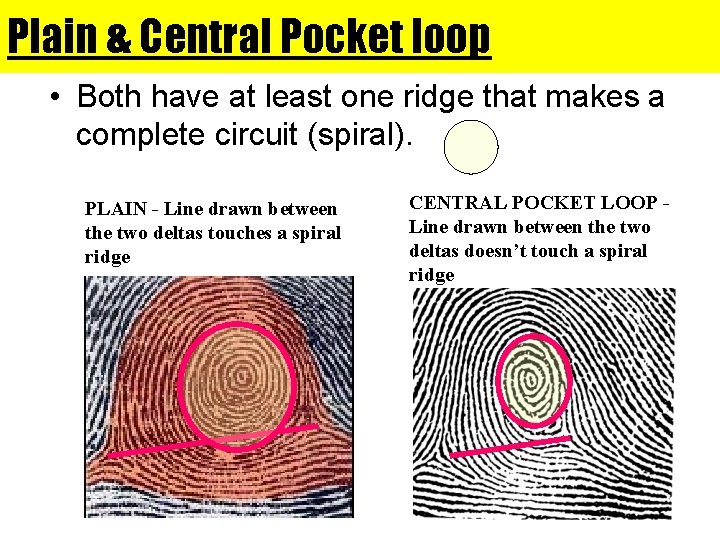 Plain & Central Pocket loop • Both have at least one ridge that makes