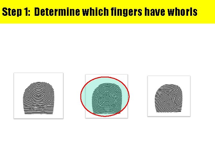 Step 1: Determine which fingers have whorls 