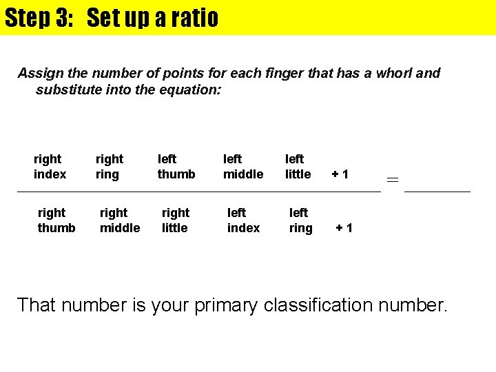 Step 3: Set up a ratio Assign the number of points for each finger