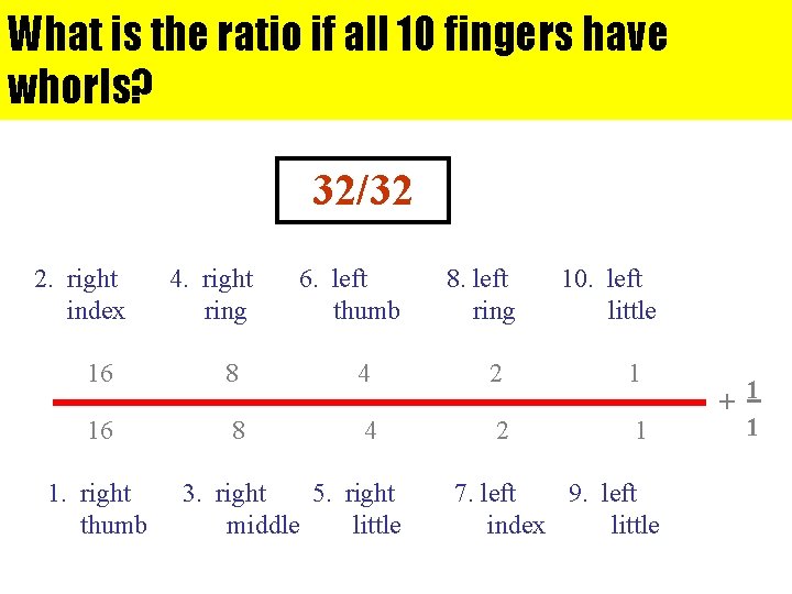 What is the ratio if all 10 fingers have whorls? 32/32 2. right index