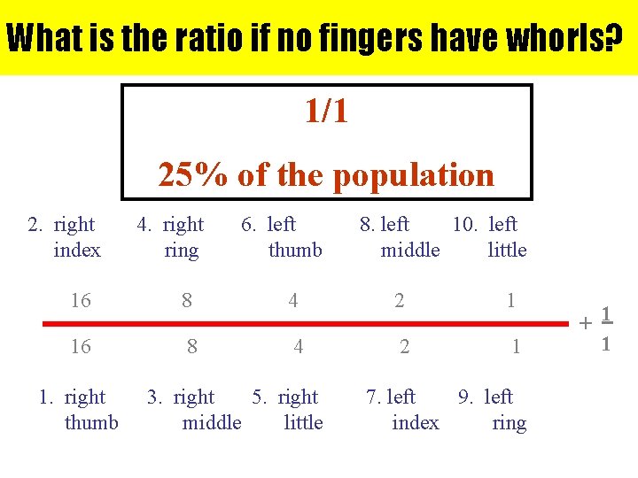 What is the ratio if no fingers have whorls? 1/1 25% of the population