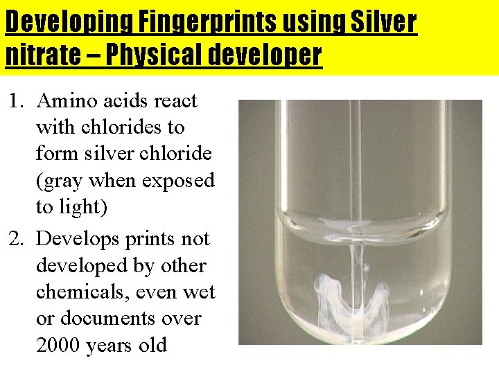 Developing Fingerprints using Silver nitrate – Physical developer 1. Amino acids react with chlorides