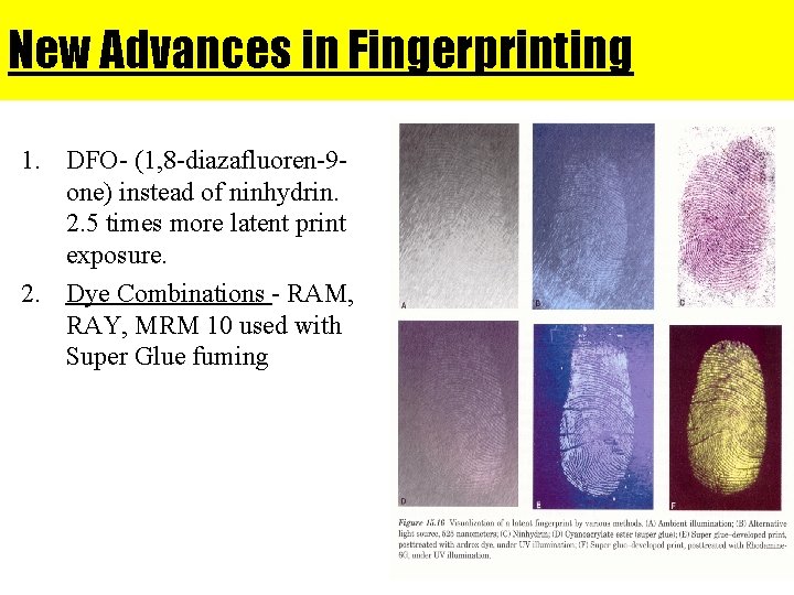 New Advances in Fingerprinting 1. DFO- (1, 8 -diazafluoren-9 one) instead of ninhydrin. 2.