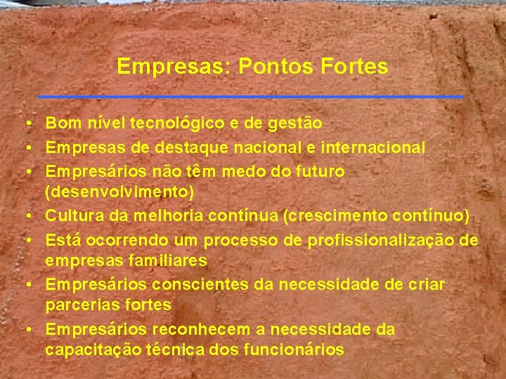 Empresas: Pontos Fortes • Bom nível tecnológico e de gestão • Empresas de destaque