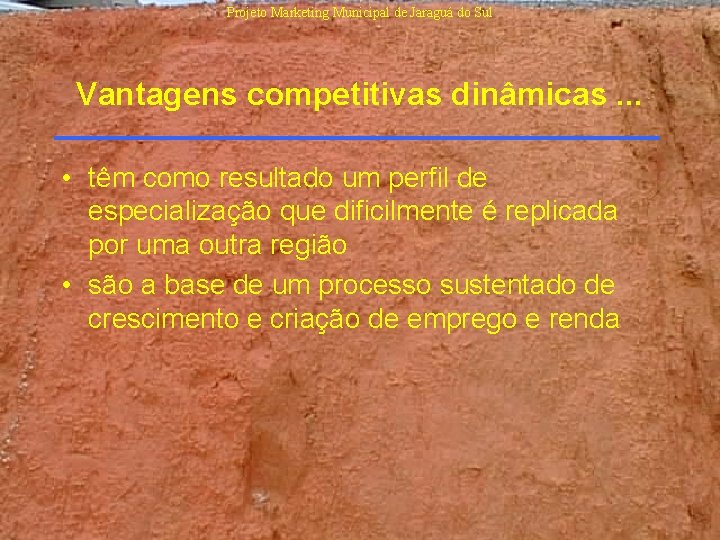 Projeto Marketing Municipal de Jaraguá do Sul Vantagens competitivas dinâmicas. . . • têm