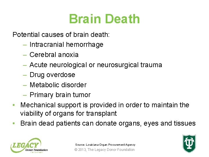 Brain Death Potential causes of brain death: – Intracranial hemorrhage – Cerebral anoxia –