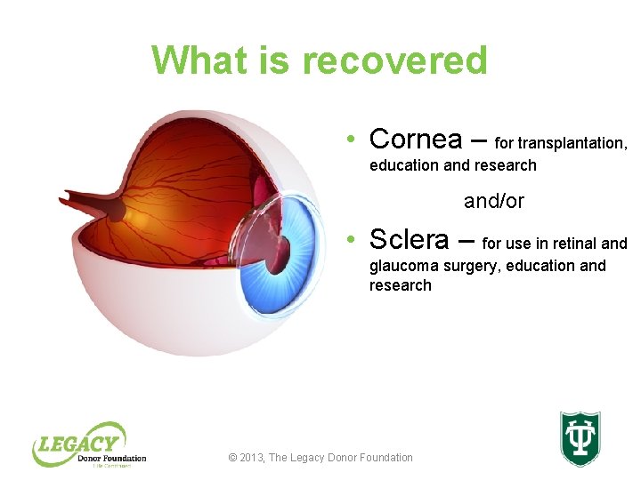 What is recovered • Cornea – for transplantation, education and research and/or • Sclera