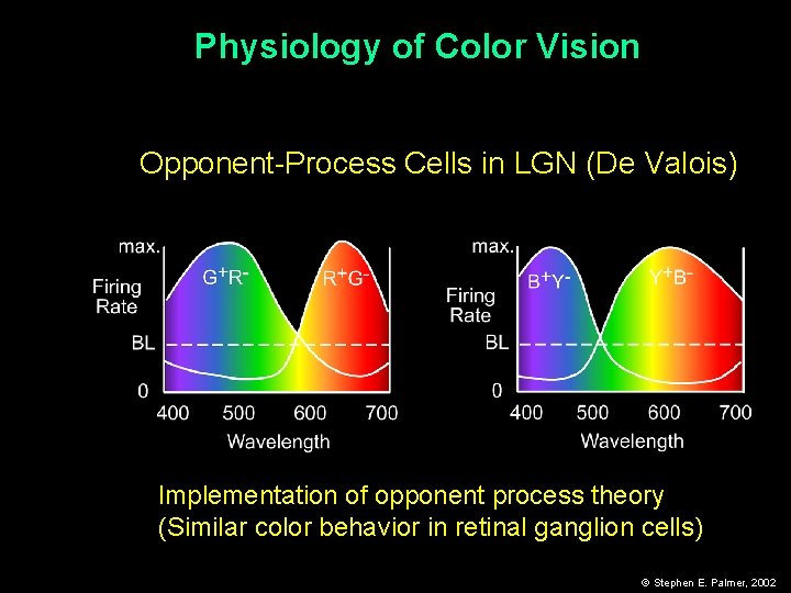 Physiology of Color Vision Opponent-Process Cells in LGN (De Valois) Implementation of opponent process