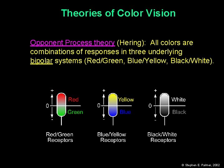 Theories of Color Vision Opponent Process theory (Hering): All colors are combinations of responses