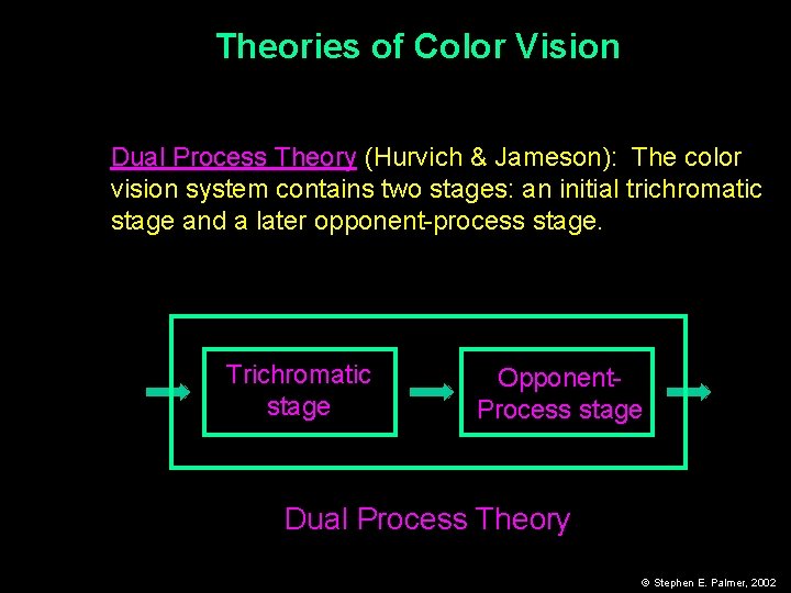 Theories of Color Vision Dual Process Theory (Hurvich & Jameson): The color vision system