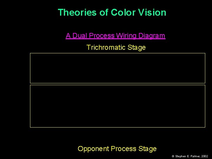 Theories of Color Vision A Dual Process Wiring Diagram Trichromatic Stage Opponent Process Stage