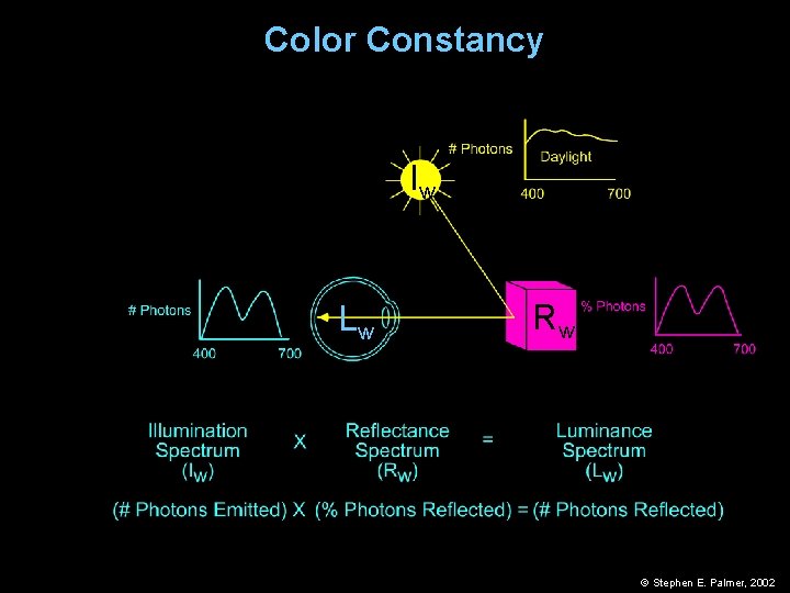Color Constancy Iw Lw Rw © Stephen E. Palmer, 2002 