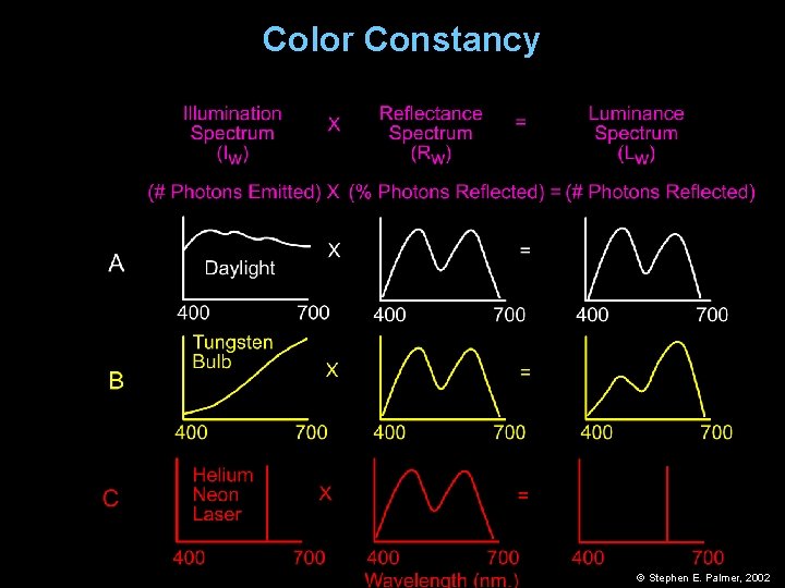 Color Constancy © Stephen E. Palmer, 2002 