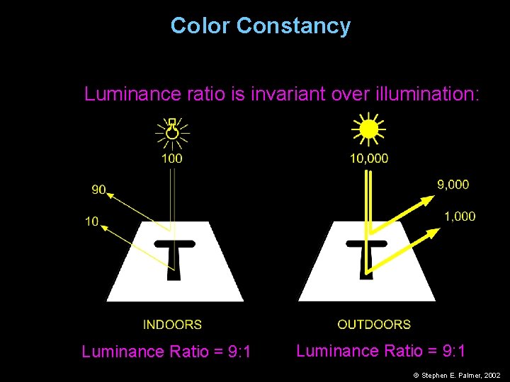 Color Constancy Luminance ratio is invariant over illumination: Luminance Ratio = 9: 1 ©